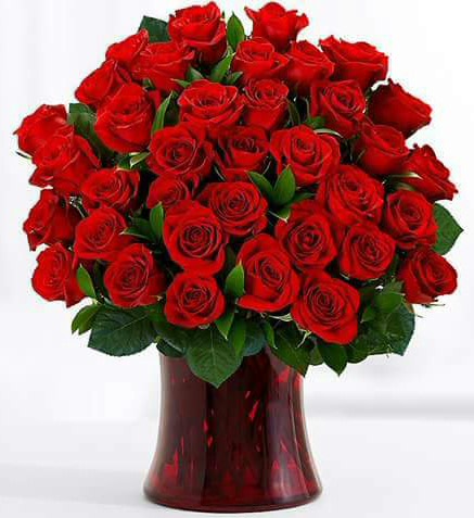 Profile picture of Looking for Daughter